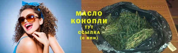 молекула духа Богданович